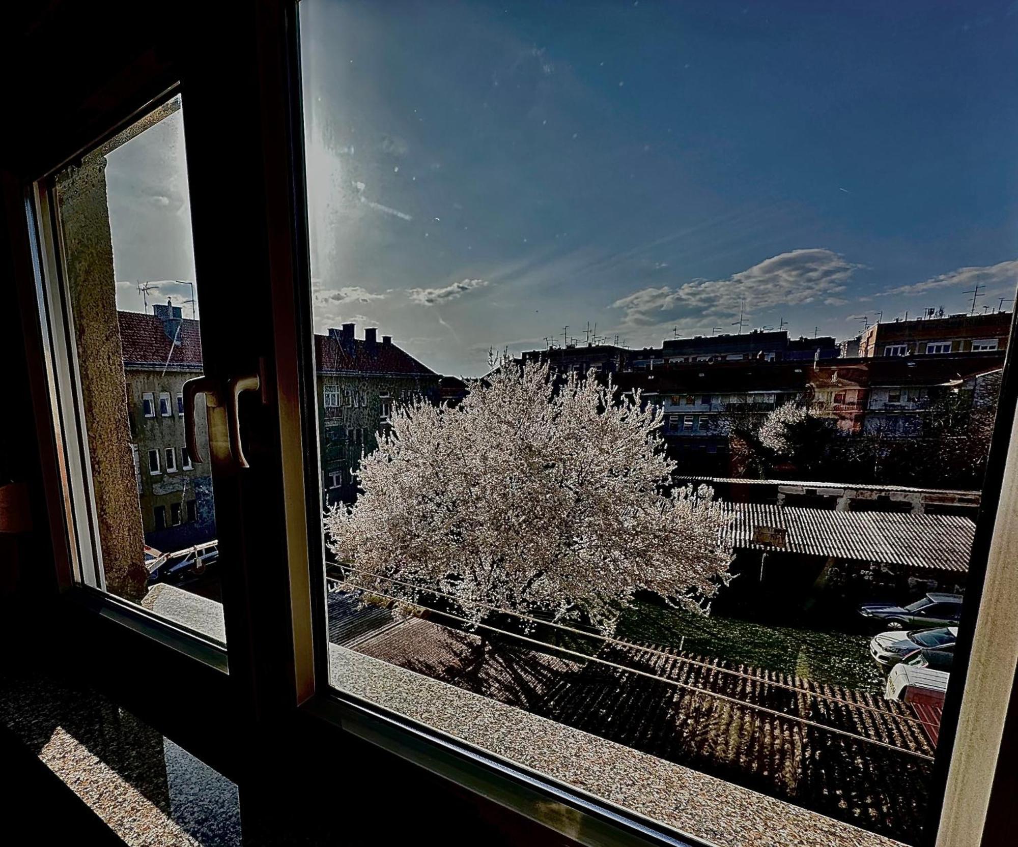 Apartman Pannonica Pin 0-24H Славонски-Брод Экстерьер фото