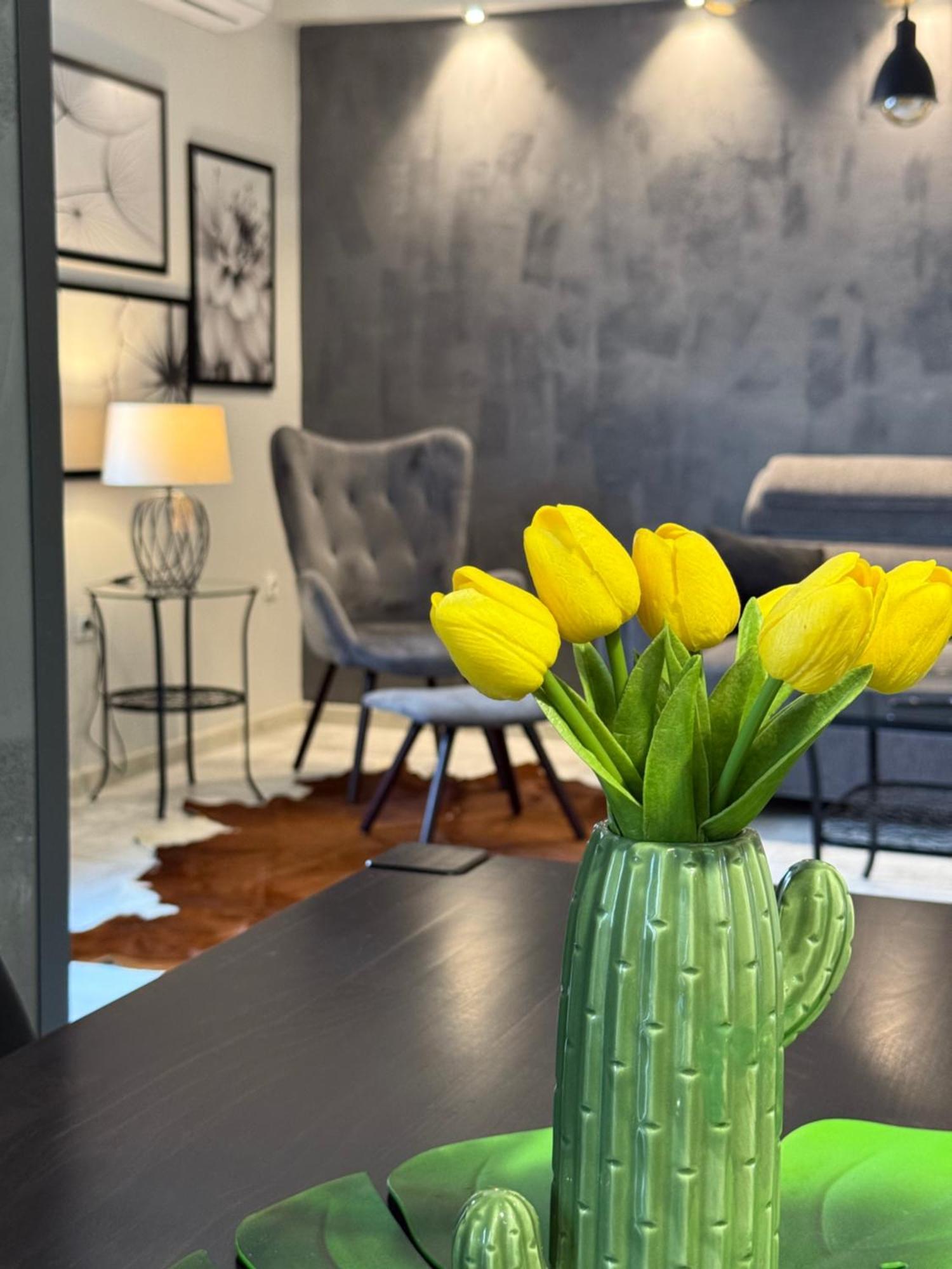 Apartman Pannonica Pin 0-24H Славонски-Брод Экстерьер фото